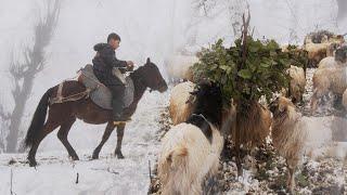 Nomadic lifestyle of the northern mountains of Iran in Winter