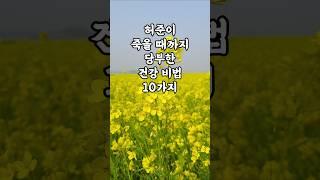 허준이 죽을 때까지 당부한 건강 비법 10가지