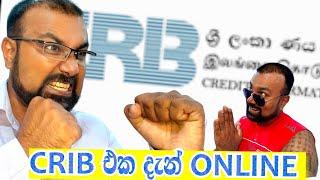 CRIB REPORT එක ONLINE ගෙන්න ගමු|Applying CRIB REPORT ONLINE #bank #customerservice #finance #banking