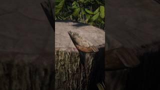 Rusted Hunter Hatchet Location RDR2 #shorts #rdr2 #gaming