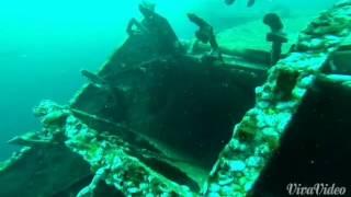 Oriskany dive in pensacola