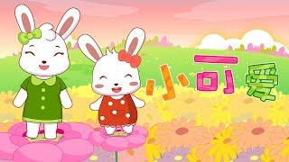 兔小贝儿歌 540 小可爱 ｜儿歌大全｜儿童歌曲｜卡通｜动画｜童谣｜Nursery Rhymes