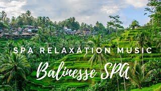 Java Meditation Music for Spa Meditation Sleeping and Relaxation