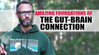 The Gut Brain Connection Can Change Your Life - Foundations