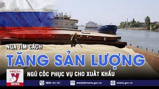 Nga tìm cách tăng sản lượng ngũ cốc phục vụ xuất khẩu - VNEWS