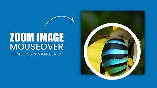 Zoom Image on Mouseover using Vanilla JavaScript