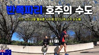 얼떨결에 수도 '당해버린' 호주의 수도 캔버라 탐방기 - 호주 워홀 [48]