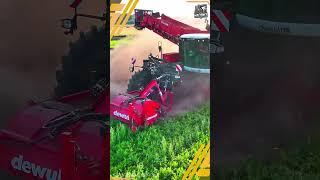 Modern agricultural machinery: carrot harvester. #giantmachines #shorts