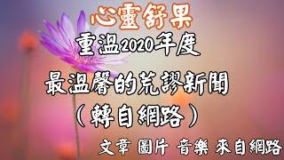 心靈舒果陳玉珠-重溫202O年度最溫馨的荒謬新聞（轉自網路）