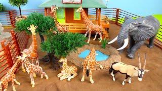 Fun African Safari Animals | Learn Animal Names with Figurines