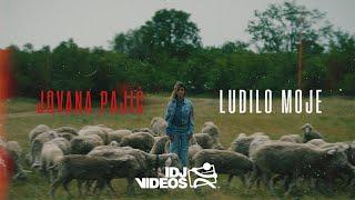 JOVANA PAJIC - LUDILO MOJE (OFFICIAL VIDEO)