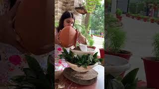 DIY Plant Candle Stand #diy #diygarden #shorts #smallbalconygarden  @CreativeHomesAndGardensByNeetu
