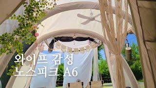 와이프의 감성이 들어간 노스피크 A6 달서별빛캠핑장 피칭 후기 | 가족캠핑 | 텐트 우드 인테리어