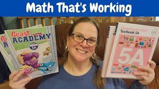 Singapore Math and Beast Academy // Math That's Working in Our Homeschool