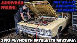 Junkyard Fresh 1973 Plymouth Satellite Revival! Will it Run After 31 Years? Sally's Speed Shop Ep 10