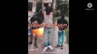 Carvie P x Court Loww x Esco - Lowend Anthem (Official Audio)(prod by danny414)