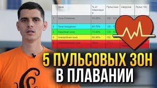 Пульсовые зоны в плавании. 5 зон - разминка, похудение, аэробная, анаэробная и максимальная