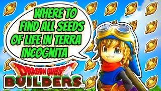 Dragon Quest Builders | Terra Incognita - Where To Find All Seeds Of Life