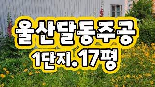 울산달동아파트/달동주공1단지/17평 견학