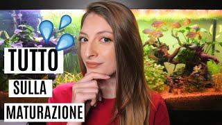 TUTTO SULLA MATURAZIONE DELL'ACQUARIO  Guida e consigli