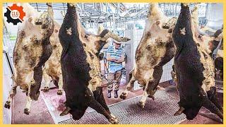 How Are Giant Cows Processed At The Factory ? Modern Beef Processing Plant | Food Industry Machines