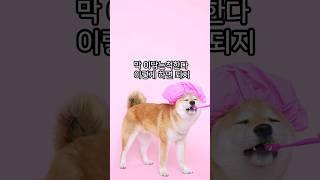 친구 바보 만들기 1