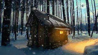 Building a hut. Overnight in winter. My log cabin in the woods. Frost -21°C.