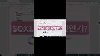 SOXL 이란 무엇인가?