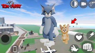 Tom & Jerry - INDIAN BIKES DRIVING 3D