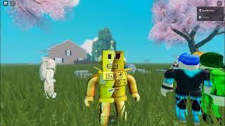 I got the Roblox Golden Mr.Robot but something is wrong..