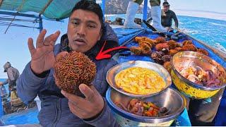 Pescador EXTRAE Erizos de Mar y Prepara el CEVICHE mas FRESCO del Mundo