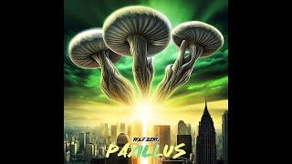 Rolf Zero - Paxillus [Full Album] 2023 Progressive Rock