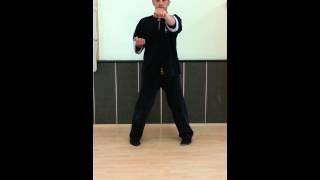 Ip Man Wing Chun - Siu Lim Tao