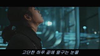 [드라마 OST] 나의 아저씨 - 손디아 '어른' (가사자막)