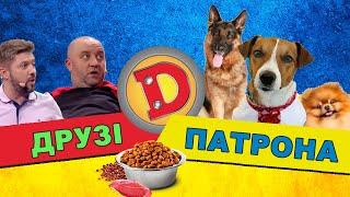 ДРУЗІ ПАТРОНА  | Собаки - чудовий антистрес! ДИЗЕЛЬ ШОУ | Найкраще!