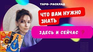 Что вам нужно знать здесь и сейчас ️