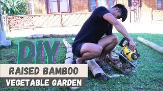 Giving a head start to our seedlings - DIY raised bamboo  vegetable garden bed