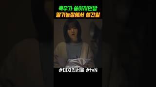 [미지의 서울] 폭우가 쏟아지던밤 딸기농장에서 생긴일 #미지의 서울 #박보영 #박진영 #류경수 #유미지 #이호수 #미지의서울#got7 #한세진
