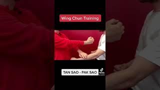 Wing Chun Training : kung fu fighting technique for beginners How to basic !