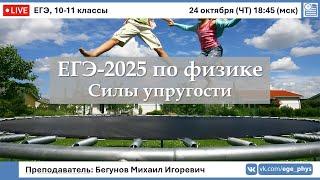  ЕГЭ-2025 по физике. Силы упругости