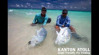 Giant Trevally Fly Fishing at Kanton Atoll