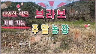 22 -14//전속중개// 철마 주말농장의 1/4가격에 나온 농장입니다.  경치좋고 공기좋은 주말농장입니다