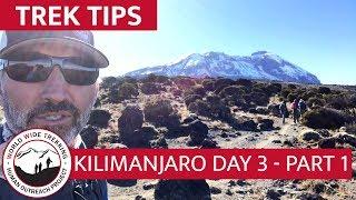 Shira Camp to Lava Tower - Day 3 Part 1 Climbing Kilimanjaro