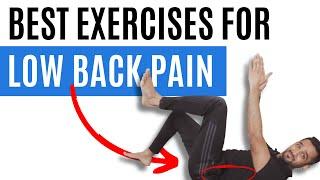 5 Absolute Best Exercises for Low Back Pain & Stiffness