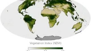 NASA Earth Observatory - Vegetation Index