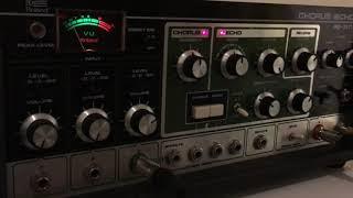 Dave Smith Instruments OB-6 + Roland RE-301 Chorus Echo