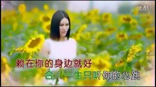 待我长发及腰 尚雯婕 独唱 KTV版