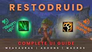 Complete Restodruid UI for M+ High Keys [Macros, Weakauras, Addons]