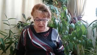 Корни Суксина В С  Прокопьевский район