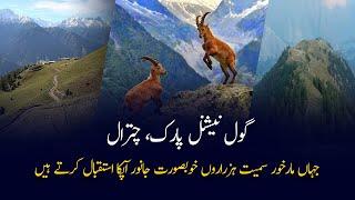 Gol National Park | House Of Thousands Of Animals | Documentary | Gwadar CPEC